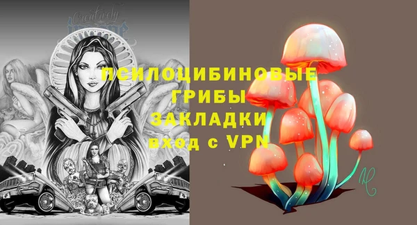 гашик Баксан